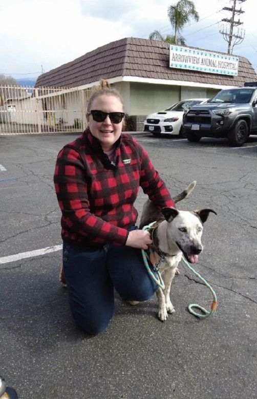 In a Dramatic Turn, Rescuers Discover a Pup in Peril with an Unusual Burden-1