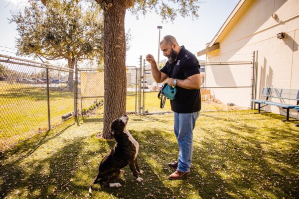 El cuento del cachorro solitario: El último que quedó atrás-1