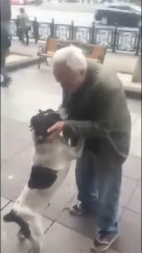 Lost and Found: The Unbelievable Tale of a Man and His Dog Reunited After Years-4