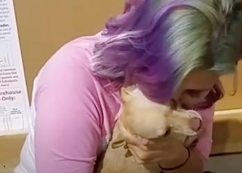 Loyal Pup's Emotional Odyssey To Reunite With Beloved Foster Mom-1