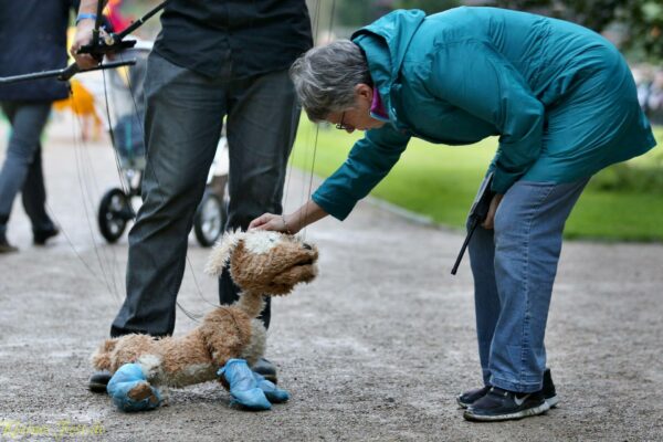 Man and His Dog Stumble Upon an Astounding Sight That Leaves Onlookers in Awe-1