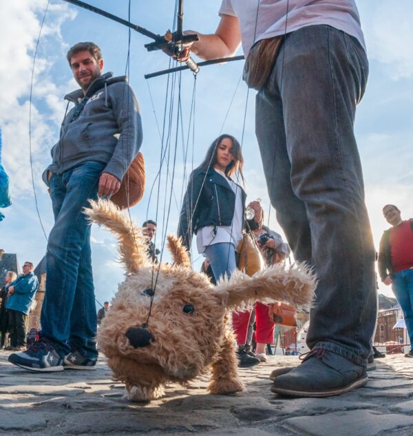 Un hombre y su perro se topan con una vista asombrosa que deja a los espectadores asombrados-1