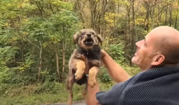 Hombre descubre una sorpresa peluda en un lugar peligroso: una historia de bondad inesperada-1