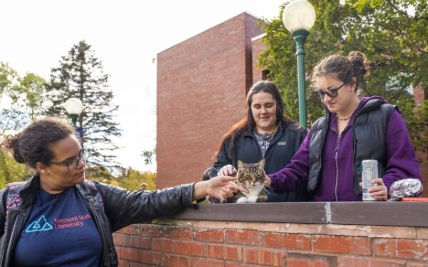 Meet the Feline Who Stole the Show at a University Graduation!-1