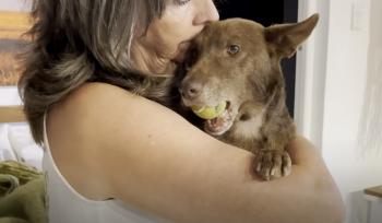 Miracle Mutt: How a Three-Legged Dog Found Joy and Changed Colors After Rescue-1