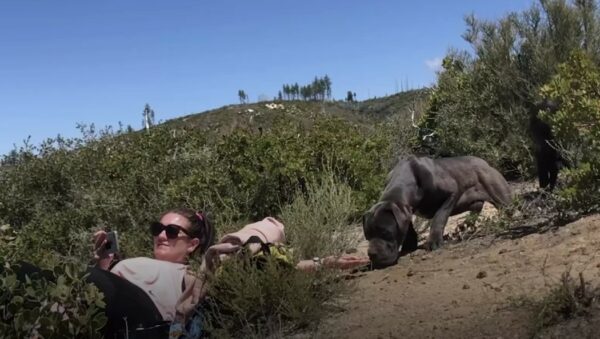 Misterio en las montañas: El encuentro inesperado del excursionista-2