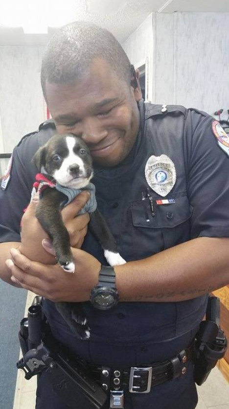 Officer's Routine Call Turns Into a Heartfelt Adoption-1