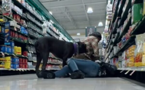 Service Dog Heroically Intervenes During Owner's Seizure in Grocery Store-1