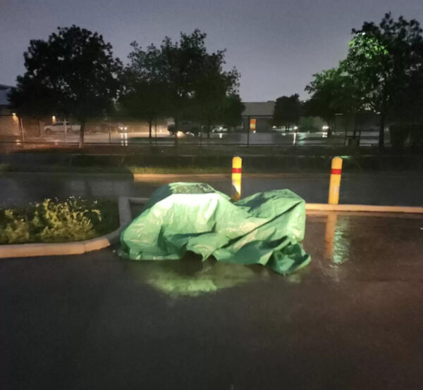 El personal del refugio descubre un descubrimiento increíble bajo una lona verde después de la tormenta-1