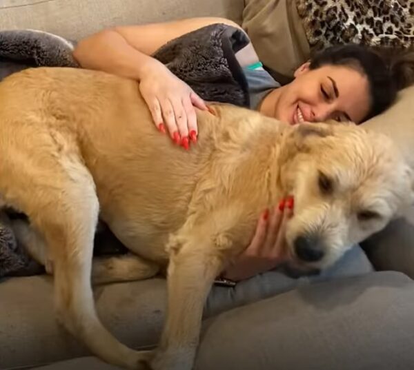 Sisters Find a Lonely Dog on a Road Trip: Their Next Steps Will Melt Your Heart-1