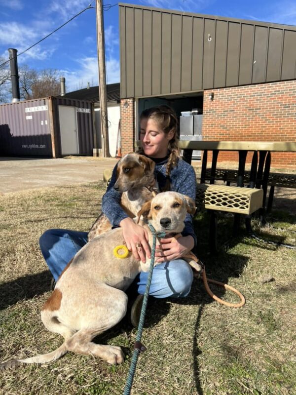 Historia de lealtad y pérdida: cómo el mundo de un perro de refugio se puso patas arriba-1