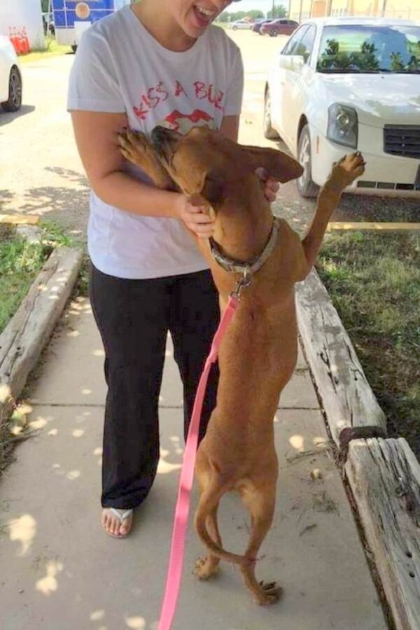 Lágrimas y esperanza: cómo el llanto de un perro de un refugio provocó un movimiento global para adoptar-3