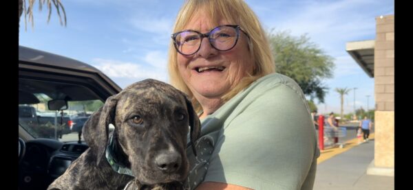 Tears and Tails: The Heartrending Rescue of Six Puppies Abandoned in a Basket-5