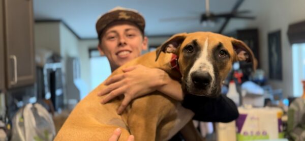 Tears and Tails: The Heartrending Rescue of Six Puppies Abandoned in a Basket-7