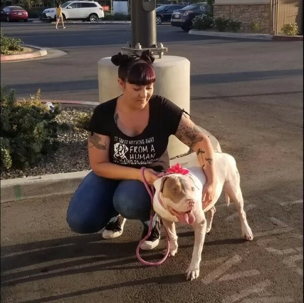 El lloroso viaje de un cachorro solitario hacia un abrazo amoroso-1