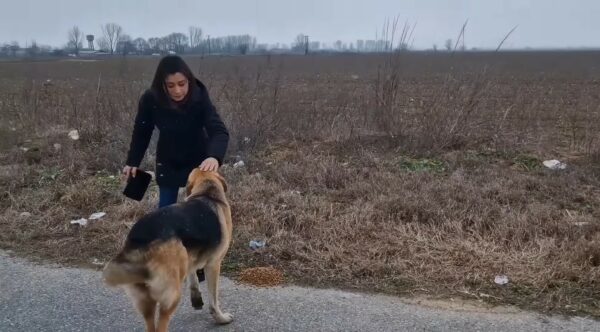 Tiny Puppy's Fight Against the Cold Leads to Unexpected Warmth and Love-1