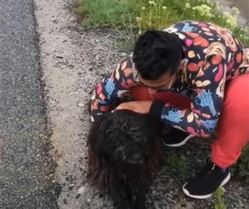 title=De la desesperación a la alegría: el viaje milagroso de un perro varado hacia la recuperación-1