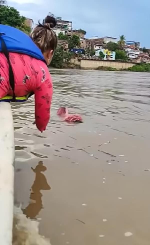 Increíble rescate: Cachorro sobrevive después de ser descartado en River-1