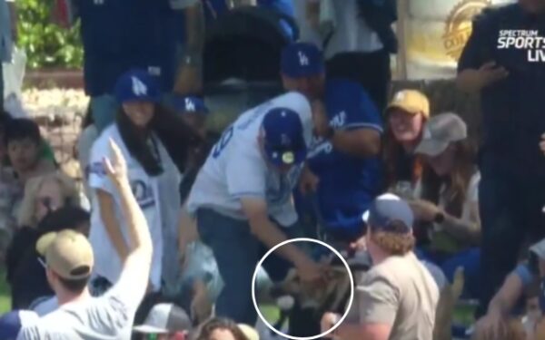 Momento inolvidable: la captura épica de un perro en un juego de béisbol deja a los fanáticos asombrados-1