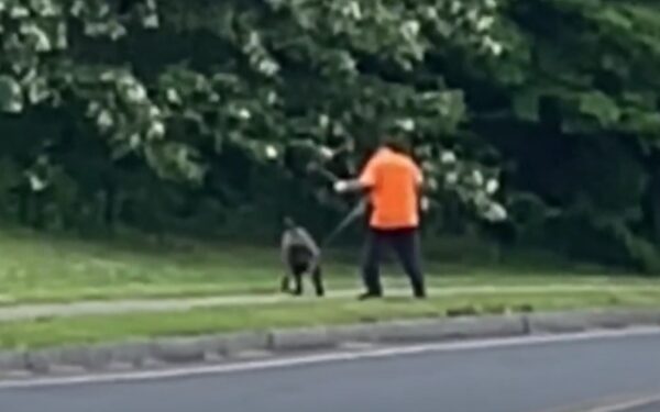 Witness Captures Disturbing Act: Man Arrested for Abusing Dog in Broad Daylight-1