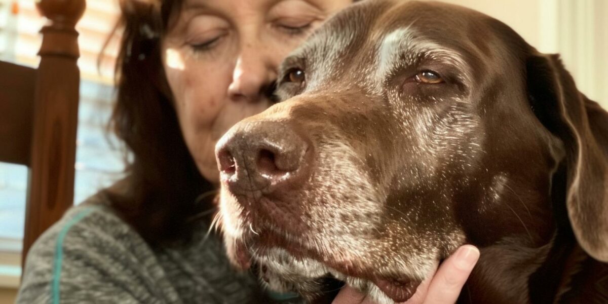 Woman Transforms Final Days for Elderly Dog with Unconditional Love and a Farewell He Deserved