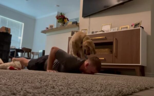 You'll Be in Stitches When You See This Dog's Reaction to His Owner's Workout-1