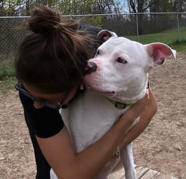 A Dog's Journey from Tragedy to Love: The Unforgettable Bond-1