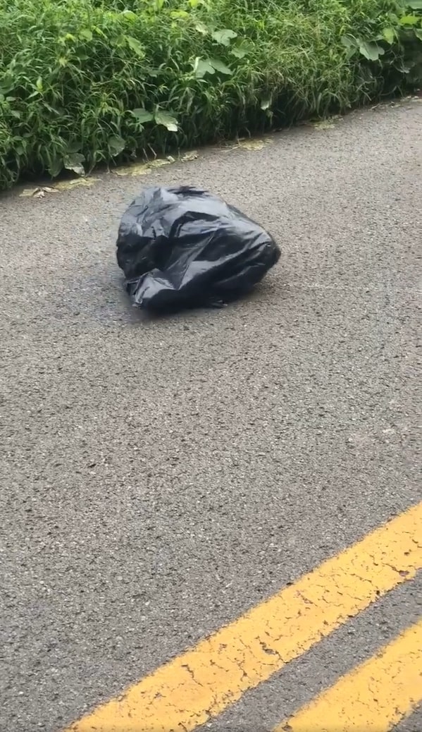 A Mysterious Bag on the Road Reveals an Unbelievable Surprise-1