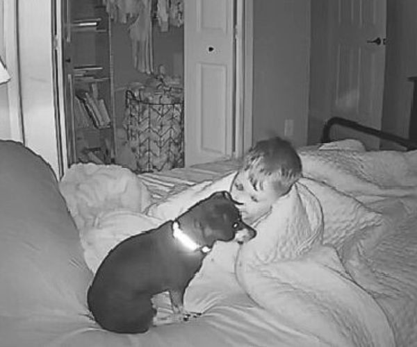 A Puppy and Toddler's Secret Morning Ritual Will Tug at Your Heartstrings-1