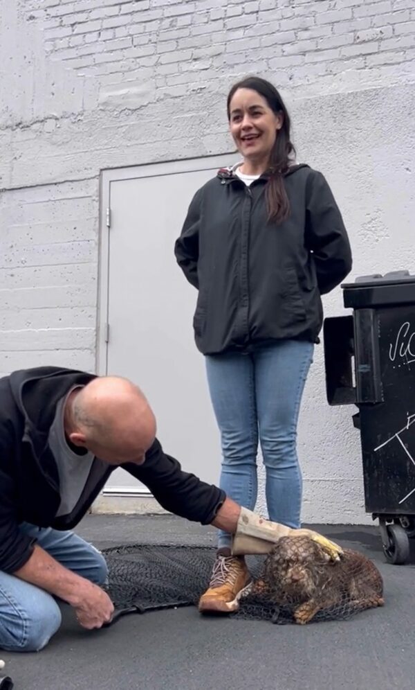 Un perro asustado que vive en la inmundicia encuentra el amor gracias a un rescatista decidido-1