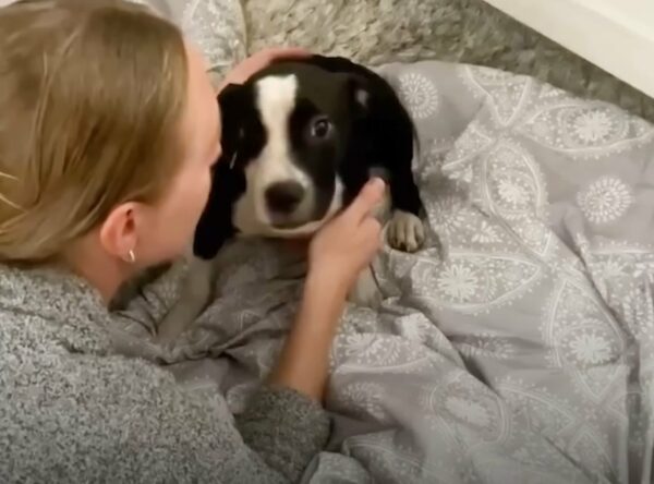 A Terrified Puppy's Journey to Love and Trust: You Won't Believe What Happened Next-1