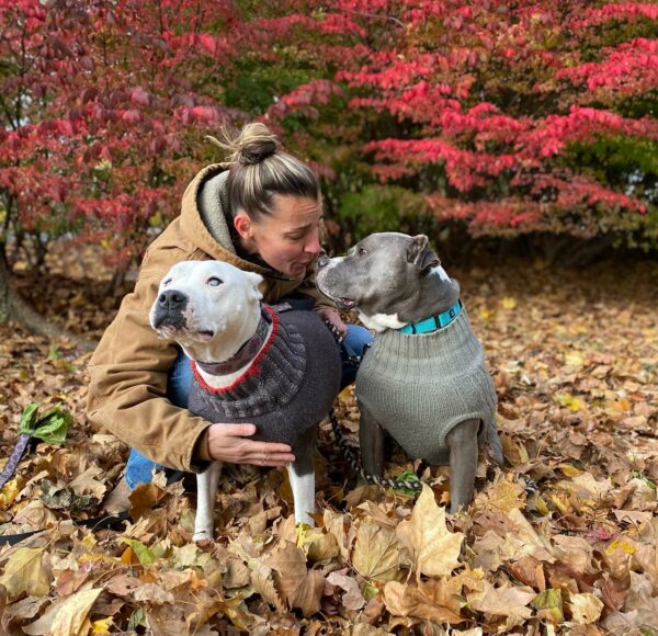 Abandonado y solo: el increíble viaje de supervivencia y triunfo de un Pitbull-1