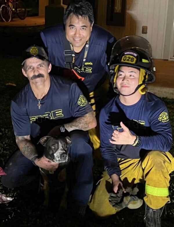 Valientes rescatistas salvan a un perro atrapado de un drenaje pluvial en una dramática misión 1