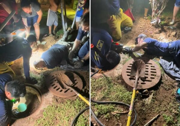 Valientes rescatistas salvan a un perro atrapado de un drenaje pluvial en una dramática misión 1