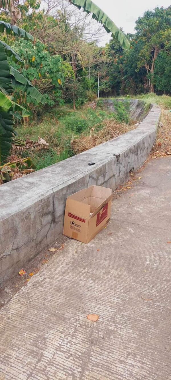 Ciclistas descubren una increíble sorpresa dentro de una caja-1 abandonada