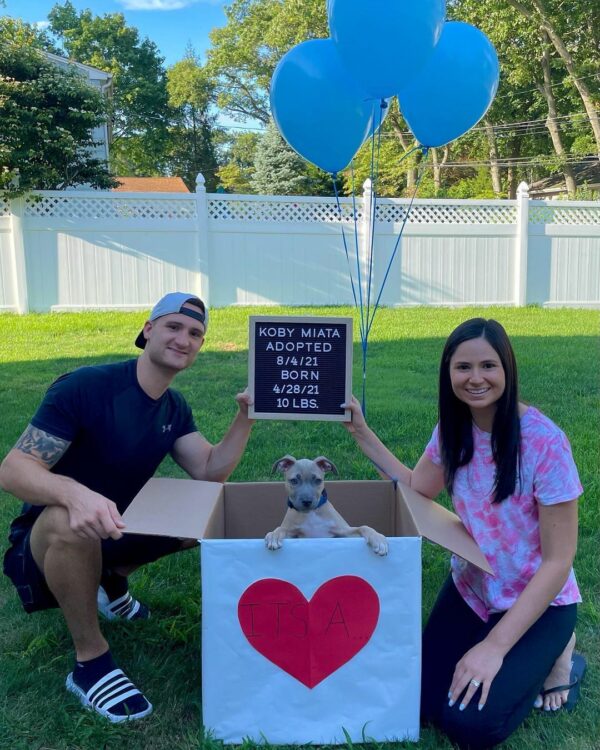 Discover The Heartfelt Secret This Couple Learned After Adopting Their Pittie-1