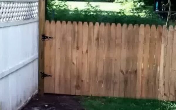 Dog Owner's Fence Fail: A Tale of Determination and Defiance-1