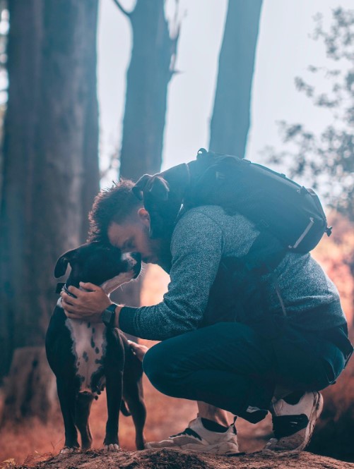 Viaje emocional: el descubrimiento inesperado de una pareja en el bosque-1