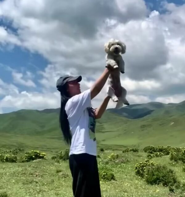 De la desesperación a la alegría: el desgarrador viaje de un perro hambriento encontrado debajo de un auto-1