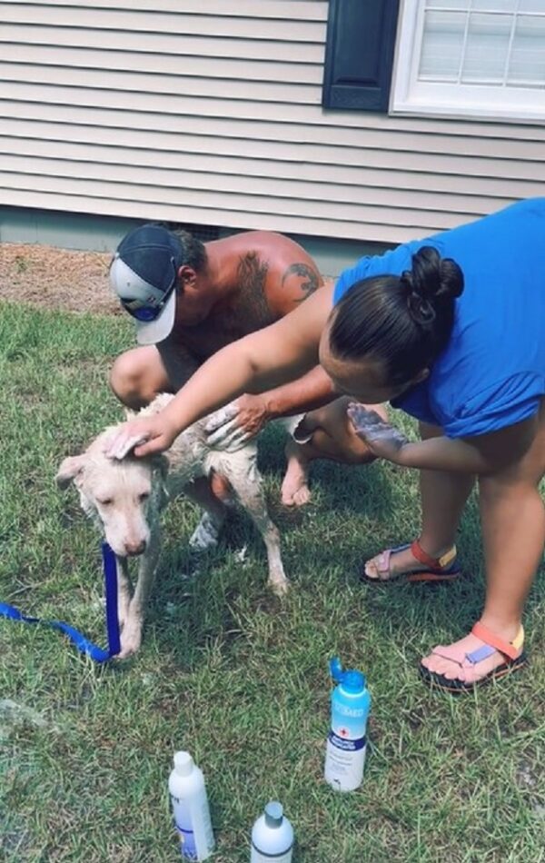 Her Routine Day Took an Unexpected Turn: What She Found on Her Doormat Will Melt Your Heart-1