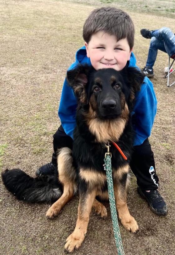 Increíble devoción canina: El guardián invisible de un niño pequeño-1