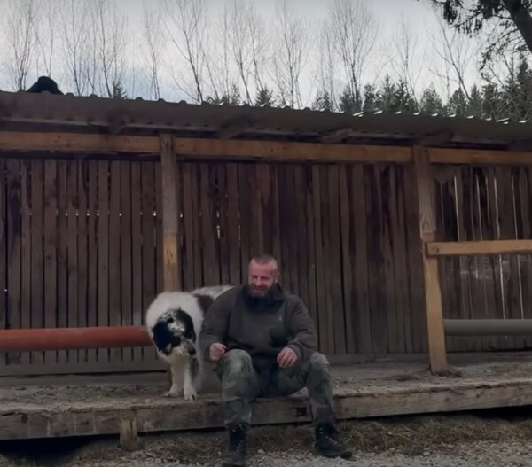 Incredible Rescue: Dog Transforms After Groomer Removes 14 Pounds of Fur-1