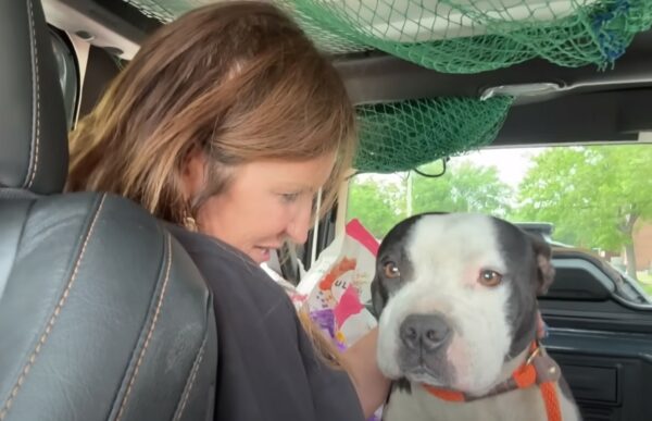 Little Pup Found in Trash Under Highway Can't Hide His Joy at Seeing Rescuers-1