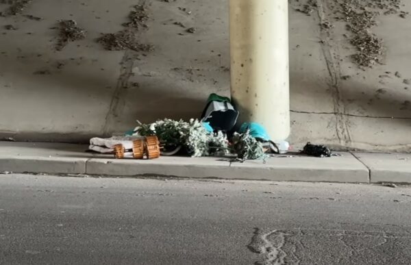 Little Pup Found in Trash Under Highway Can't Hide His Joy at Seeing Rescuers-1