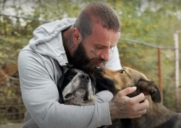 La súplica emocional del hombre para salvar a los perros de un refugio condenados le tocará la fibra sensible-1