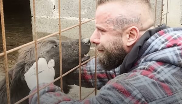 La súplica emocional del hombre para salvar a los perros de un refugio condenados le tocará la fibra sensible-1