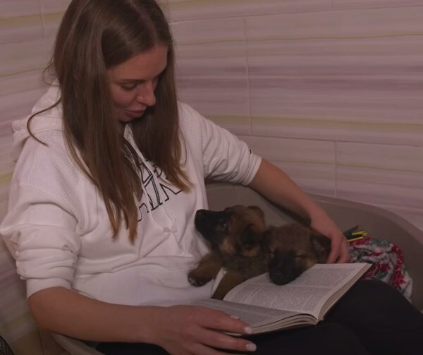 Rescued Puppies' First Night in a Warm Bed After Harrowing Winter-1