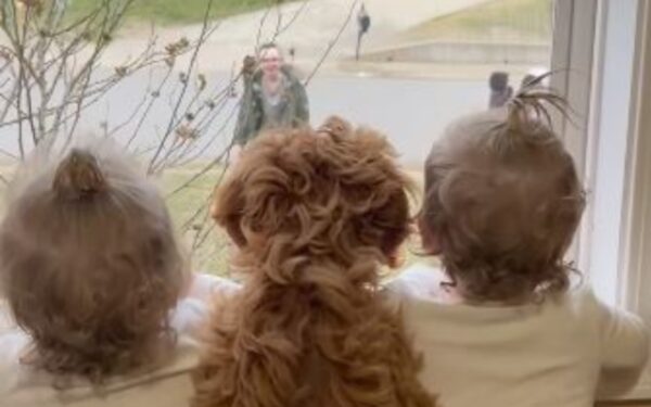 Witness Pure Joy as Twin Girls and Their Puppy Await Big Brother's Arrival with Glee-1