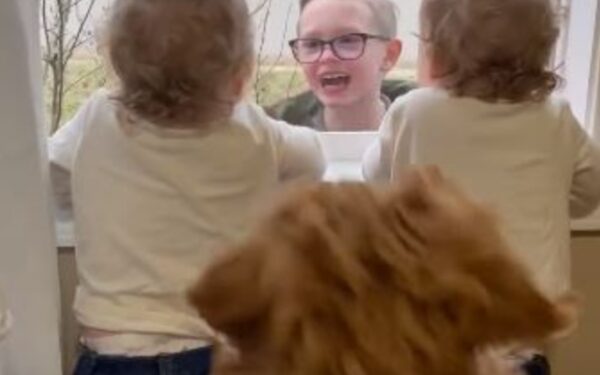 Witness Pure Joy as Twin Girls and Their Puppy Await Big Brother's Arrival with Glee-1