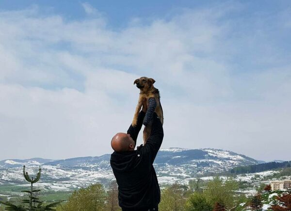 La súplica silenciosa de un cachorro: un grito de compasión en el camino-1